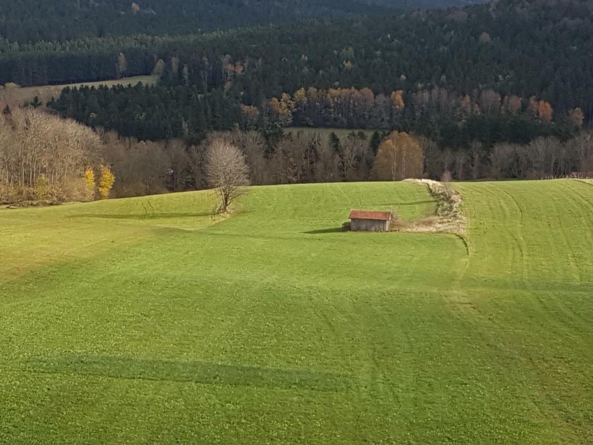 Gut Steinhuegel Apartment Bischofsmais Bagian luar foto