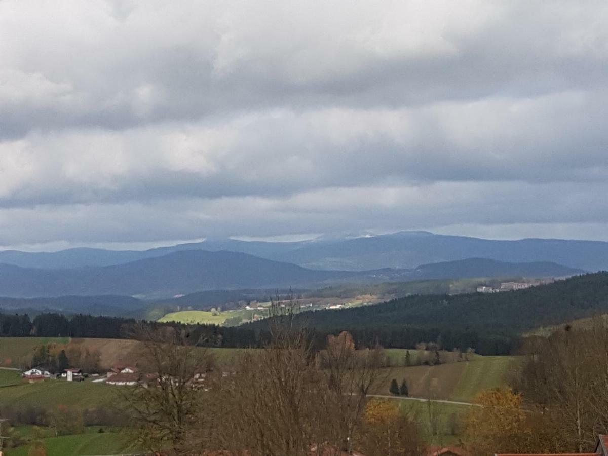 Gut Steinhuegel Apartment Bischofsmais Bagian luar foto