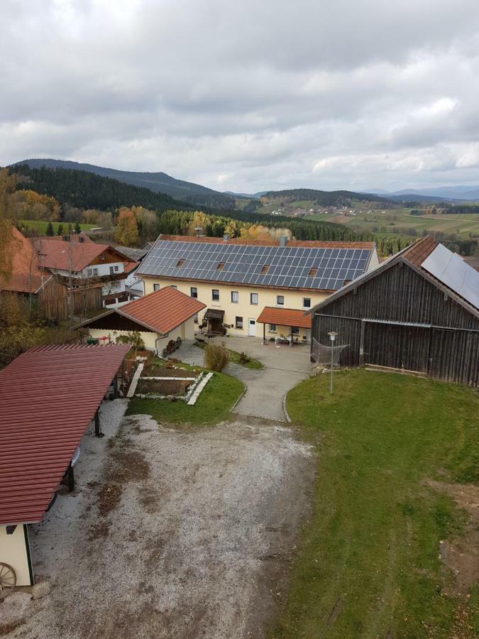 Gut Steinhuegel Apartment Bischofsmais Bagian luar foto